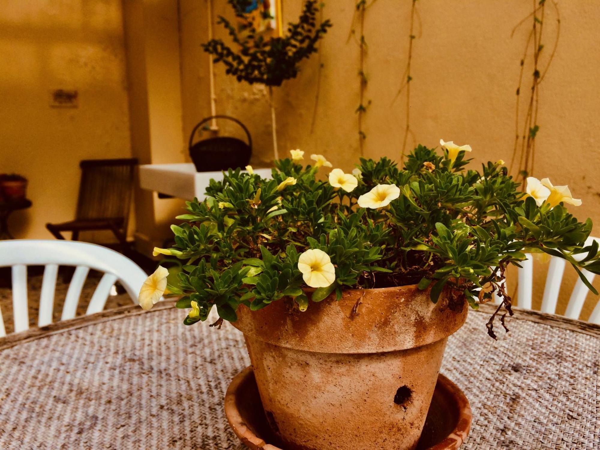 Le Clos Rabelais ลองเฌส์ ภายนอก รูปภาพ