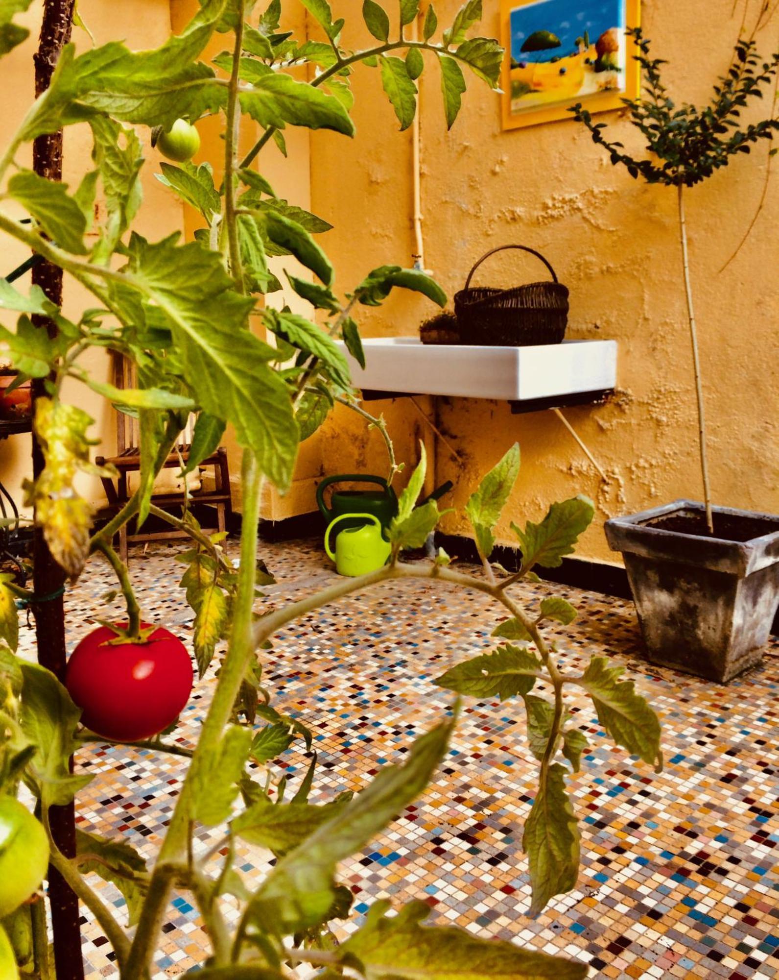 Le Clos Rabelais ลองเฌส์ ภายนอก รูปภาพ