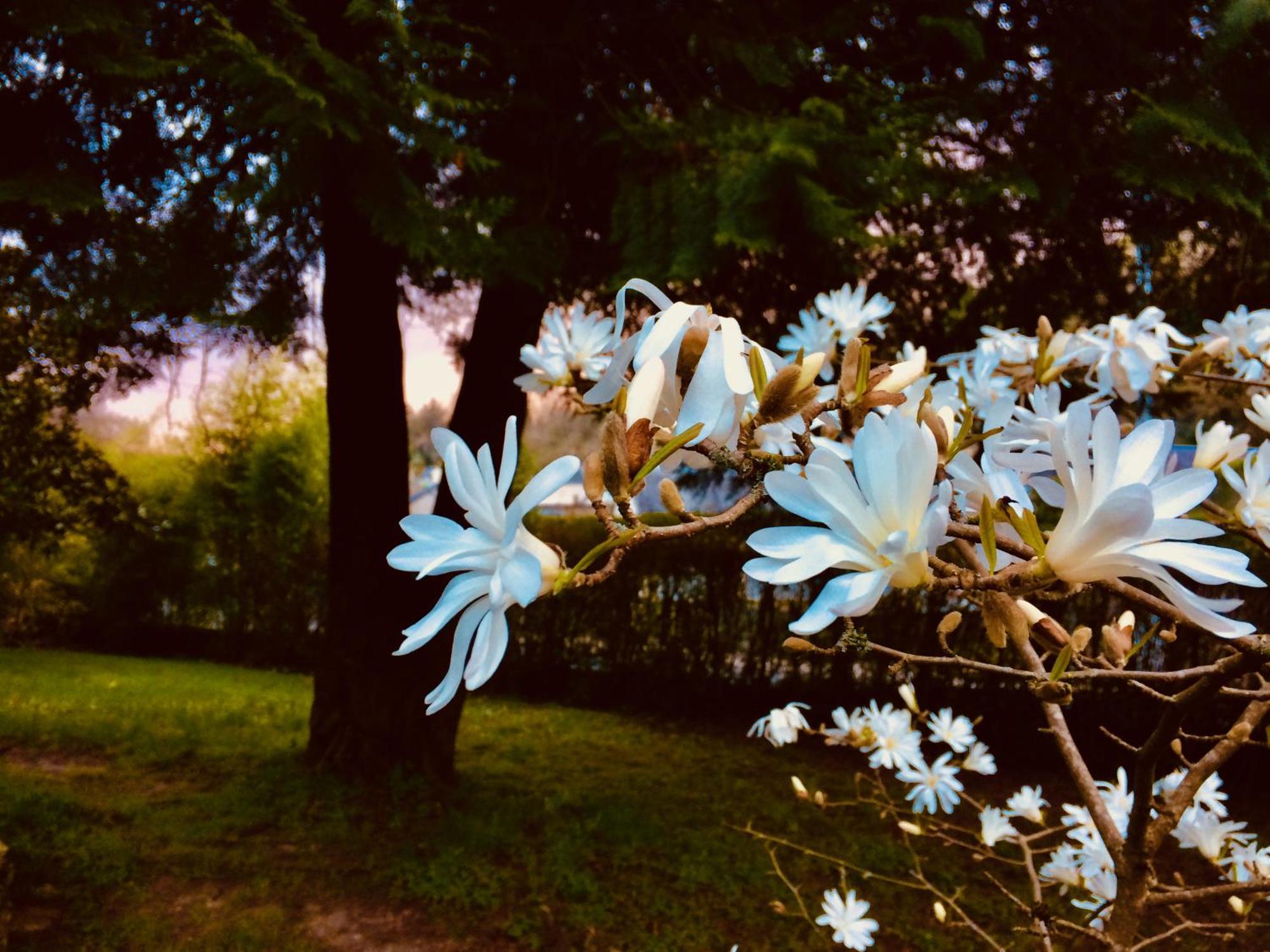 Le Clos Rabelais ลองเฌส์ ภายนอก รูปภาพ
